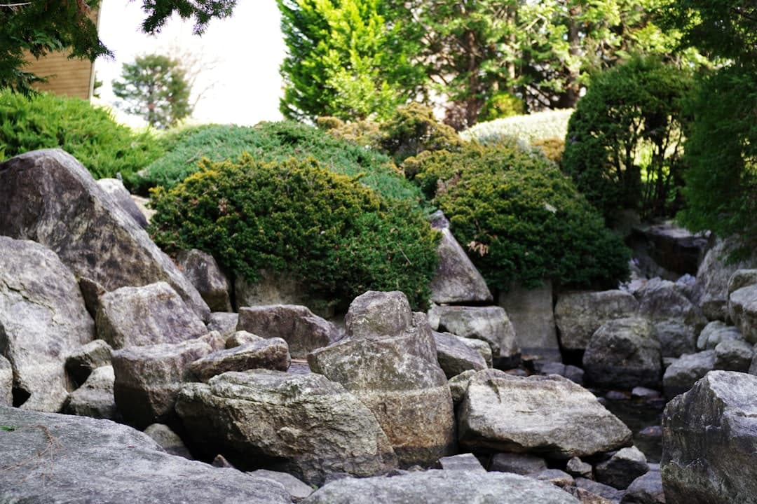 Stenparti med stora granitblock och vintergröna buskar i en trädgård
