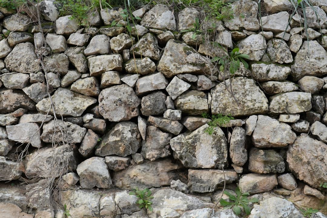 Rustik kallmurad stenmur med små växter i fogarna