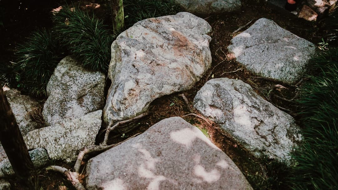 Stora granittrampstenar omgivna av mossa och rötter