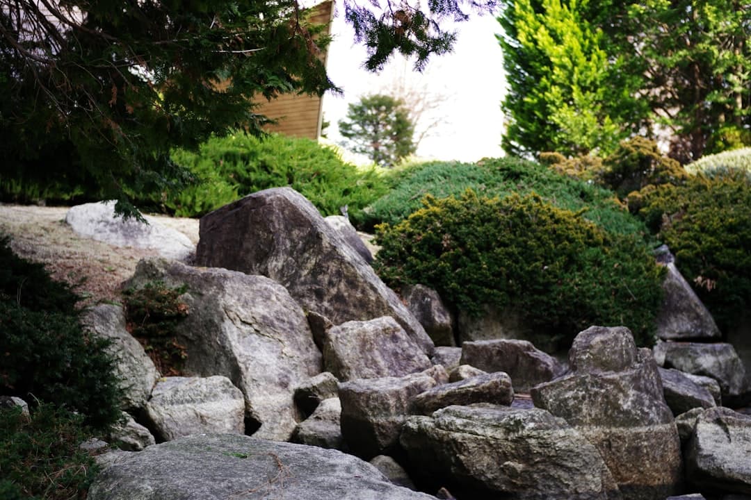 Närbild på stenparti med skiktade granitblock och vintergröna buskar