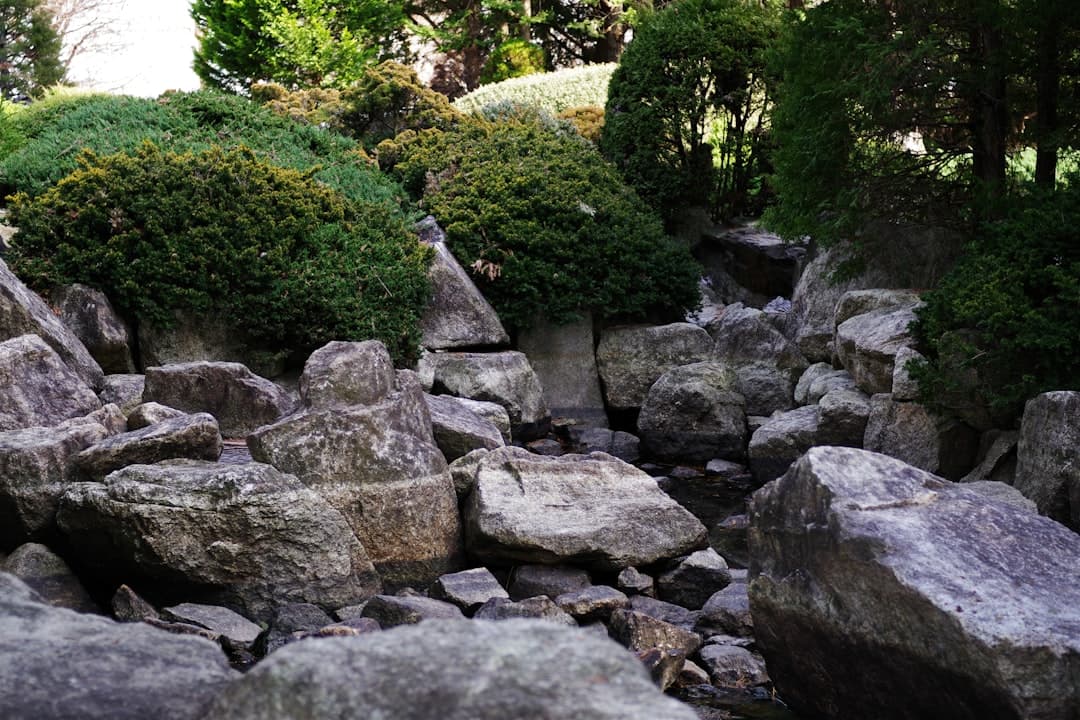 Stenparti med stora block, buskar och en liten vattenränna