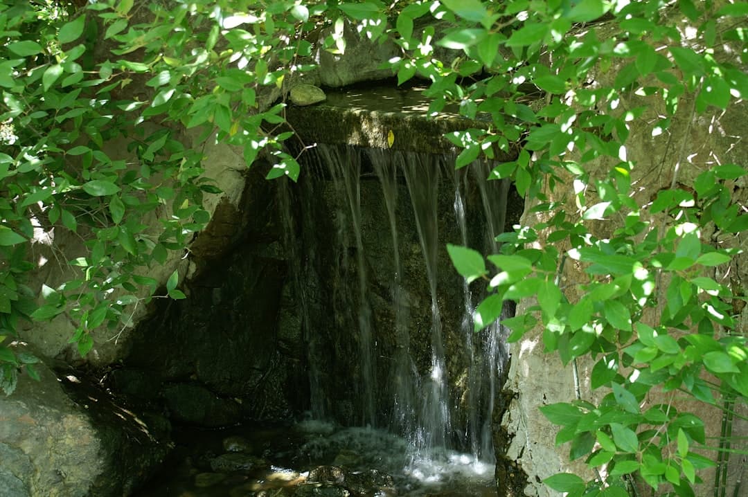 Litet vattenfall över sten omgiven av grön växtlighet